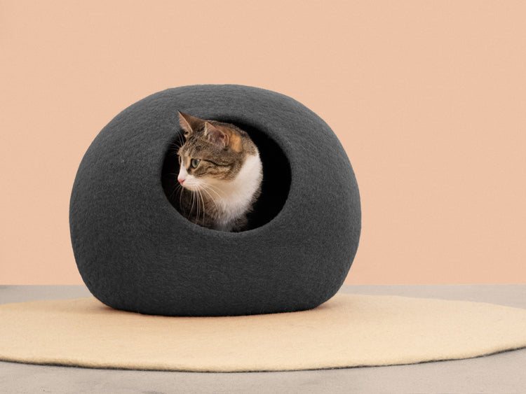 Kuno Cat Cave