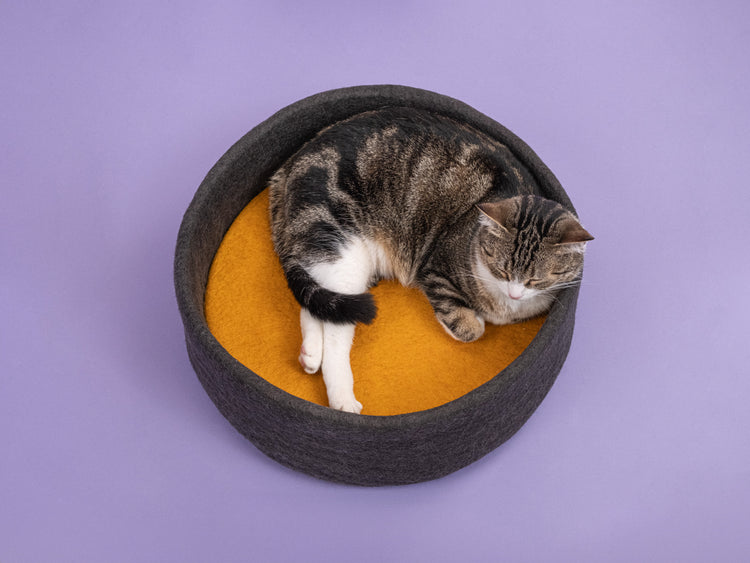 Kuno Cat Basket