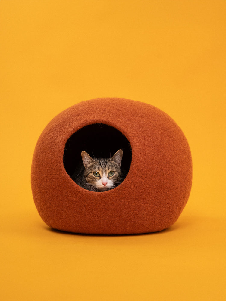 Lora Cat Cave
