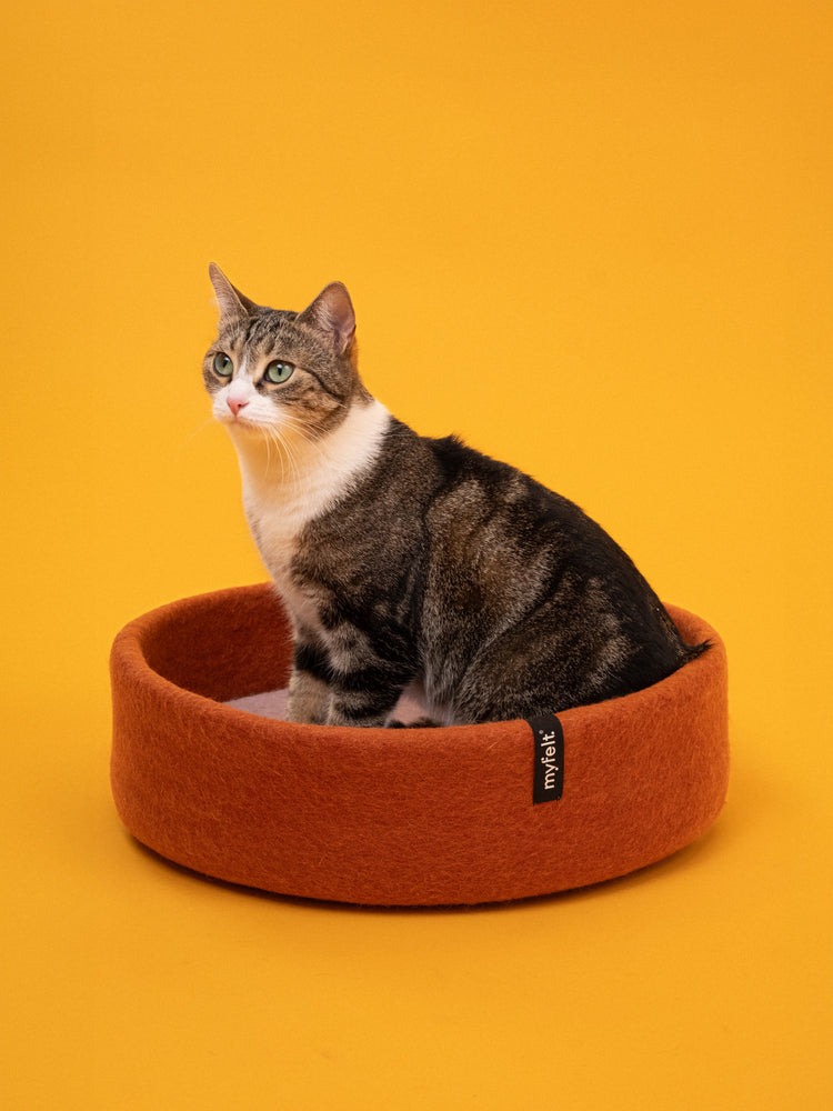 Lora Cat Basket