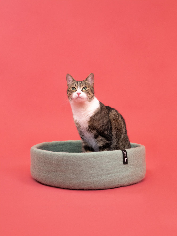 Fine Cat Basket