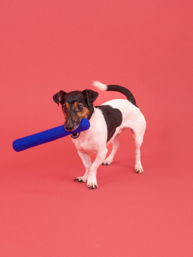 Fine Dog Toy - Stick